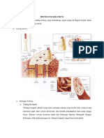 Histologi Kranium