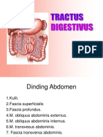 Tractus Digestivus.