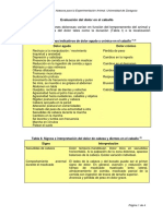 Evaluación Dolor en Caballo PDF