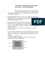 Estática y dinámica de fluidos problemas física bioquímica