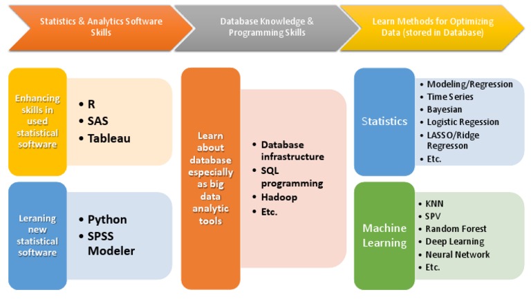 Data Analytics & Statistical Software Skills | PDF