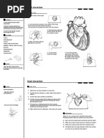 Heart Dissection