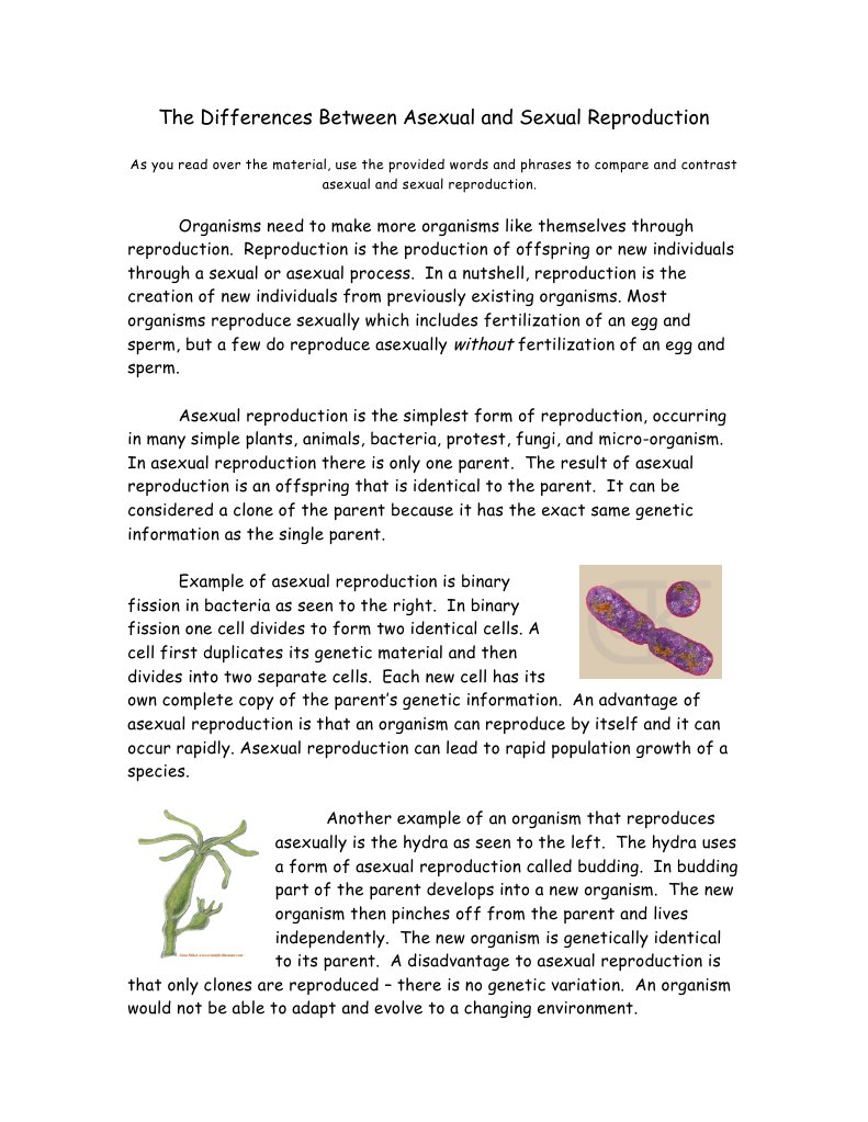 Asexual vs Sexual Reproduction Explained | PDF | Reproduction | Sexual ...