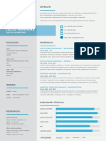 Curriculum Formato