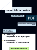 Human Defense System.: Acquired Immunity
