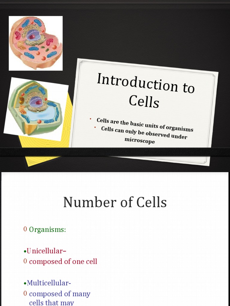 Chapter 2 2.1 | PDF | Cell (Biology) | Endoplasmic Reticulum