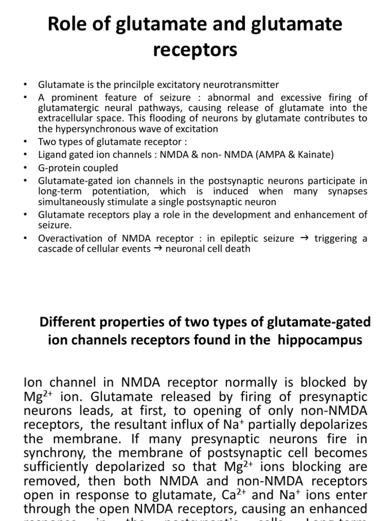 Role of Glutamate and Glutamate Receptors | PDF | Chemical Synapse ...