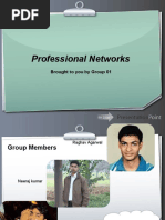 Professional Networks: Brought To You by Group 01