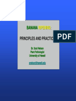 Banana Ripening: Principles and Practice