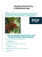 Inilah Cara Budidaya Buah Pinang Yang Banyak Manfaatnya Bagi Kesehatan