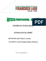 Etnias en El Peru - Monografia