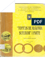 Topicos de Algebra Superior.pdf