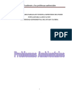 El Ambiente y Los Problemas Ambientales