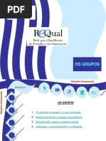 REQUAL - Modulo 5 - Os Grupos (1)