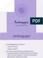 andragoga-1217221560462808-9.ppt