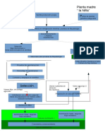 Flow Sheet Reproducción Vegetal Microbiología