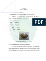 Darot PDF