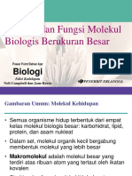 05 - Struktur Dan Fungsi Molekul Biologis Berukuran Besar