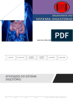 Anatomia Digestório - Prática