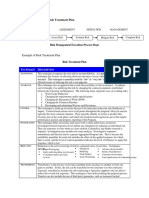 Identifying Risk and Risk Treatment Plan