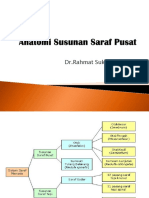 Anatomi SARAF Pusat