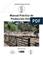 SUL Manual Practico de Produccion Ovina