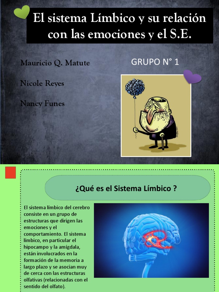 Sistema Limbico y Las Emociones | PDF | Sistema límbico | Hipotálamo