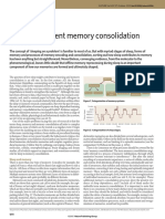 Sleep-Dependent Memory Consolidation