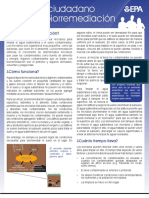 Biorremediación PDF