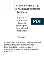 Approaches Toward Managing Growth, Downturns and Existence Business