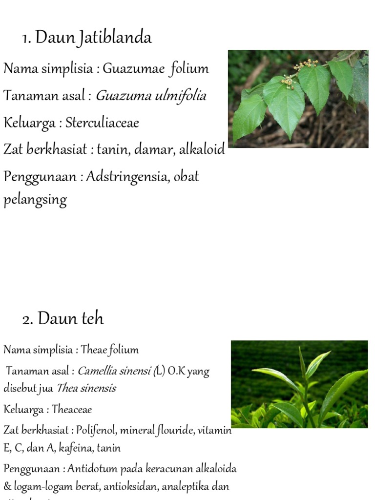 Contoh Tanin-1 | PDF