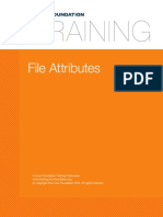 Filesystems and Storage File Attributes