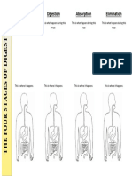 Ingestion Digestion Absorption Elimination