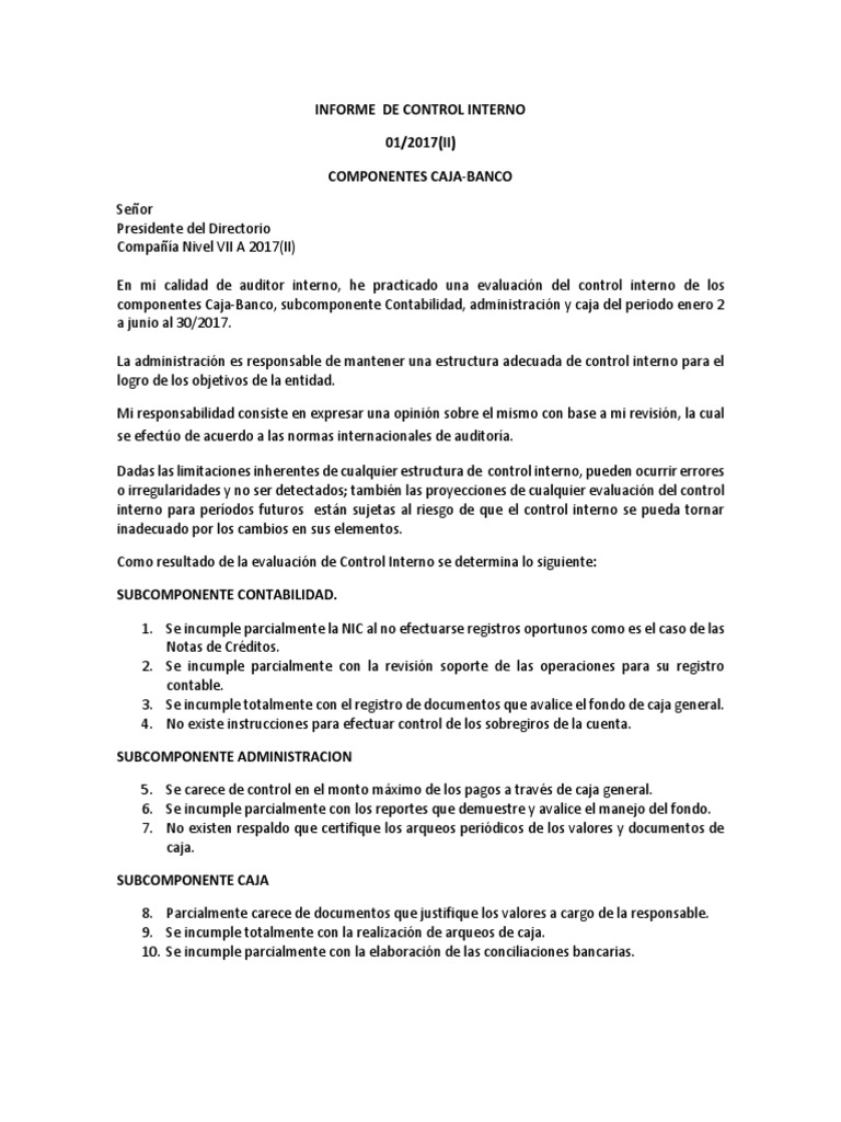 Informe Del Control Interno | PDF | Contralor | Contabilidad