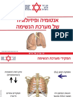 BreathingSystemAnatomy Medics