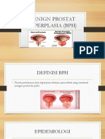 Benign Prostat Hiperplasia (BPH)