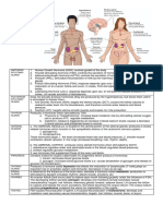 Endocrine System