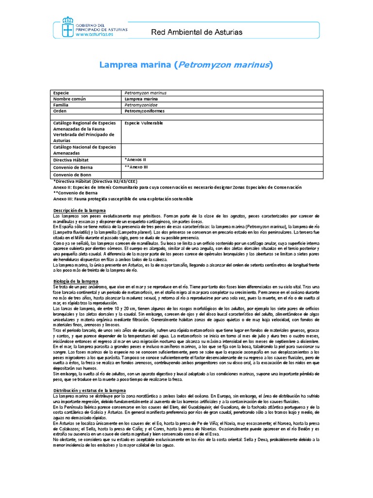 Clasificación de los seres vivos, image size:768x1024
