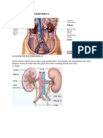 ANATOMISISTEMPERKEMIHAN