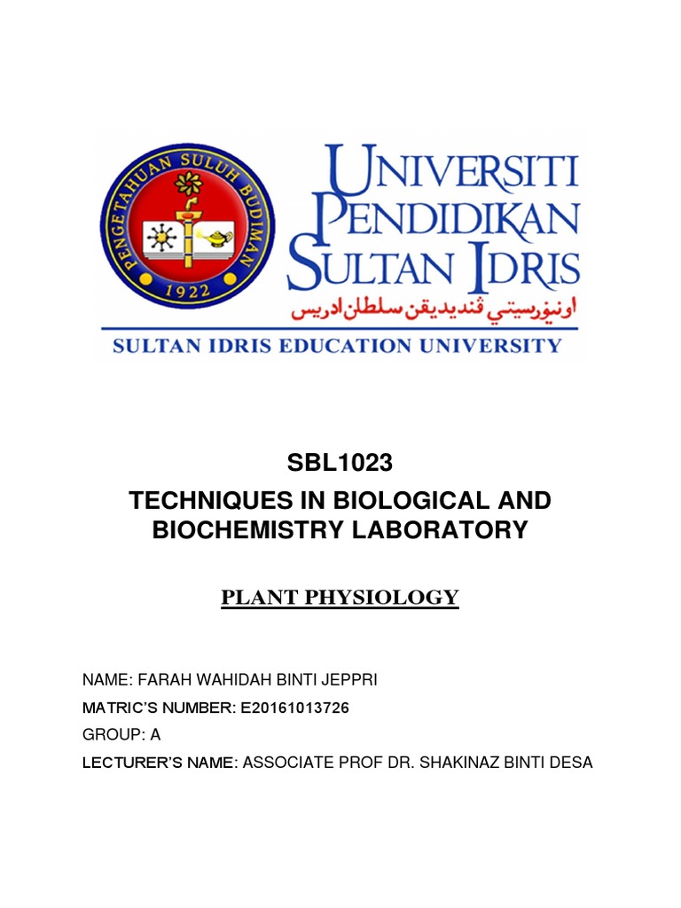Lab Report 6 Plant Physiology PDF Chromatography Chlorophyll