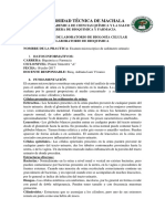 Examen microscópico de sedimento urinario