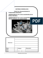 Lab 01 Hidráulica Planta.docx