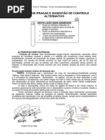 Principais Pragas e Sugestão de Controle Alternativo