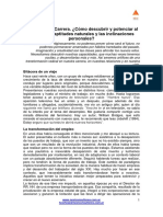 Desarrollo_Cortese.pdf