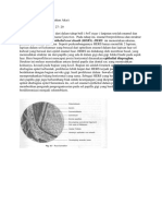 Root Formation