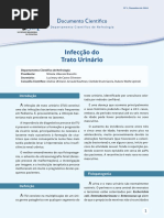 Nefrologia Infeccao Trato Urinario