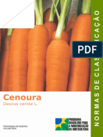 cenoura classificação.pdf
