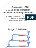 CREB Regulation of BK Channel Gene Expression Underlies Rapid Drug Tolerance