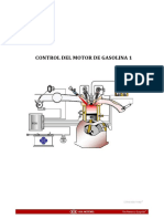 Control Motor Gasolina 1