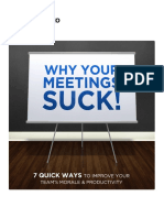 Why Your Meetings Suck PDF